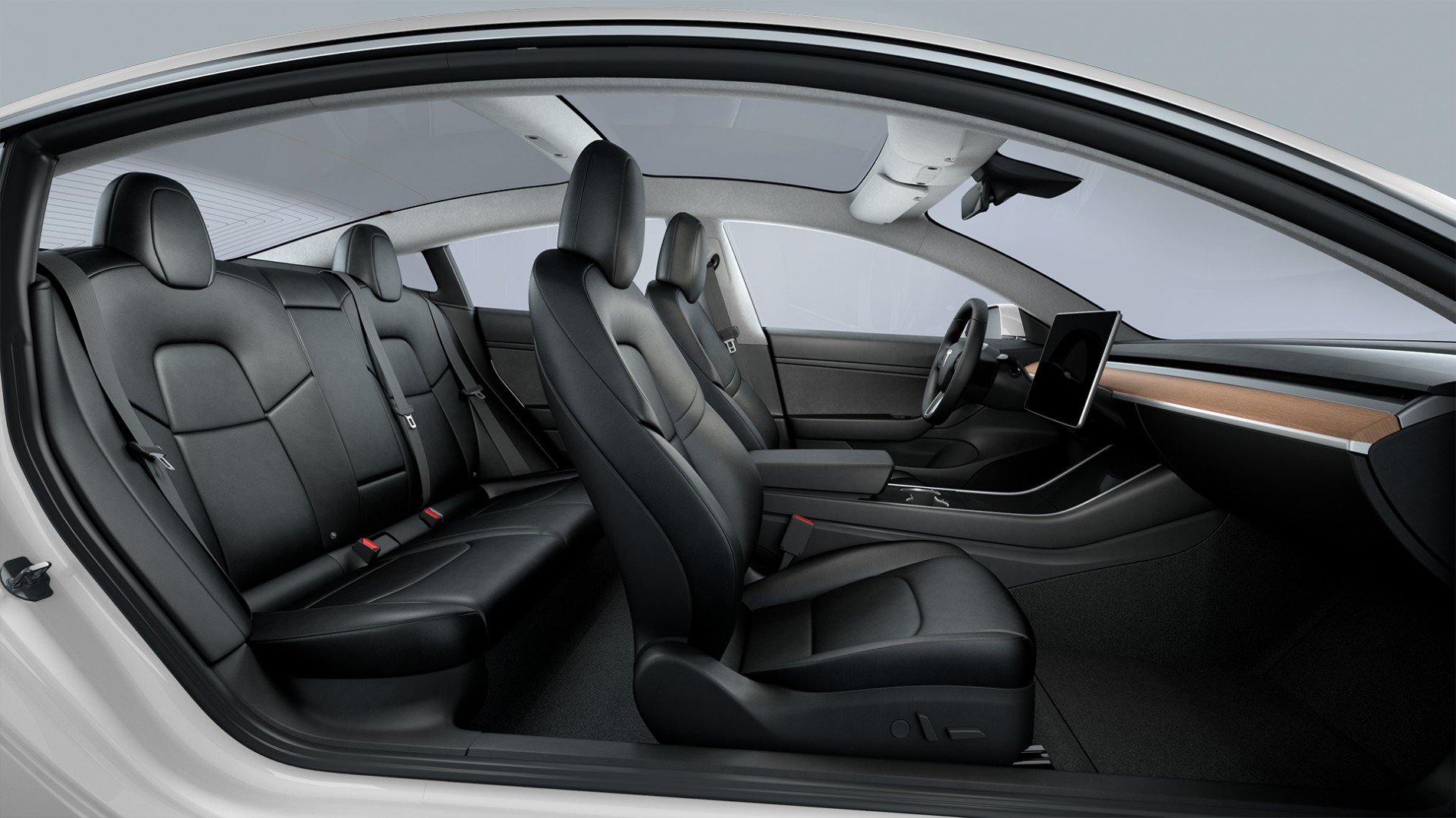 Tesla Interior